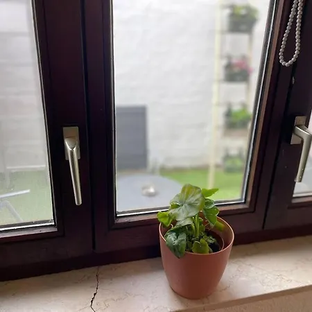 For 2 With Garden In Centre Löwen